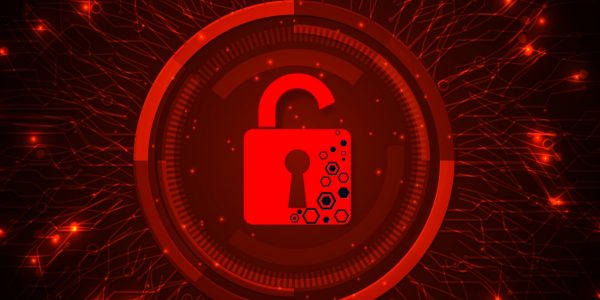 Zero Day Vulnerability