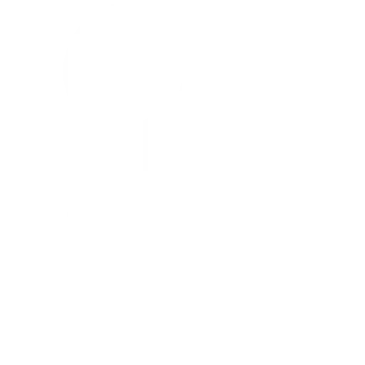 AI Governance